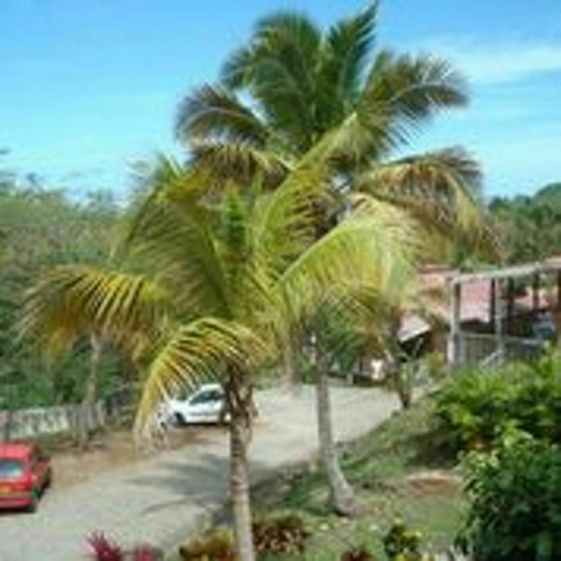 Bright On The West Coast Of Basse-terre With Sea Views, 150m Apartment